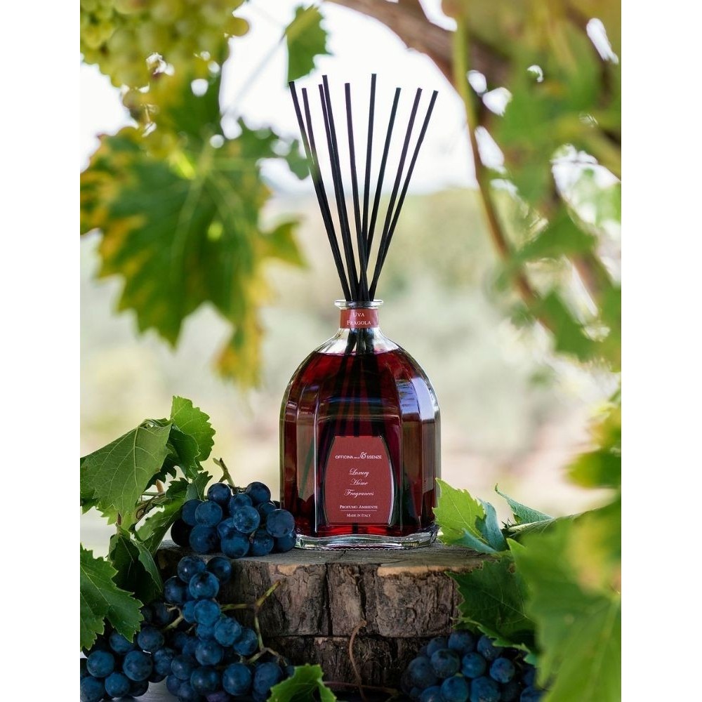OFFICINA DELLE ESSENZE namų kvapas su lazdelėmis „Uva fragola“ 500 ml.