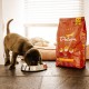 Maistas mažiems šuniukams PUPPY, didelių veislių šunims / 3 kg