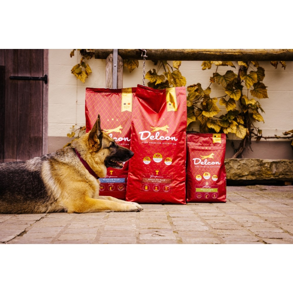 Maistas suaugusiems šunims REGULAR PLUS su žuvimi / 3 kg