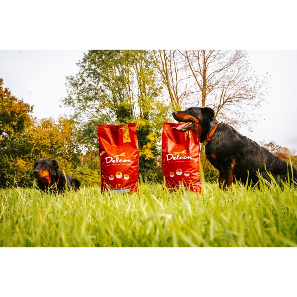 Maistas suaugusiems šunims ELITE / 3 kg